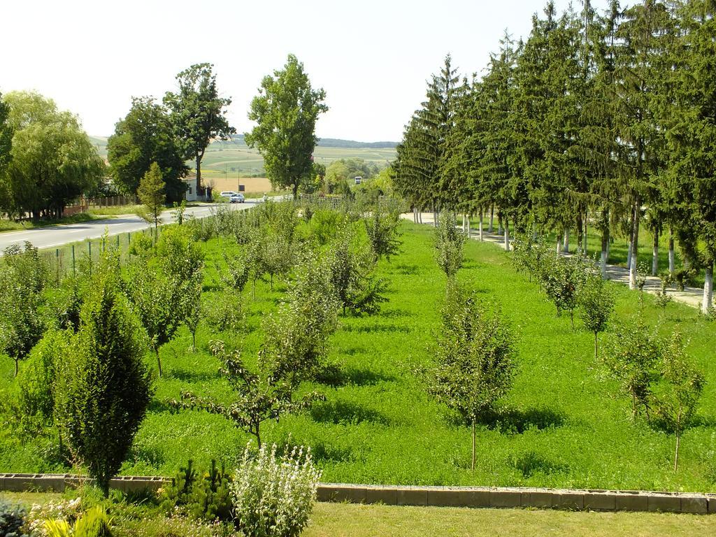 Motel Vector Acăţari Dış mekan fotoğraf